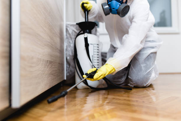 Wildlife Control Services in Sanborn, NY