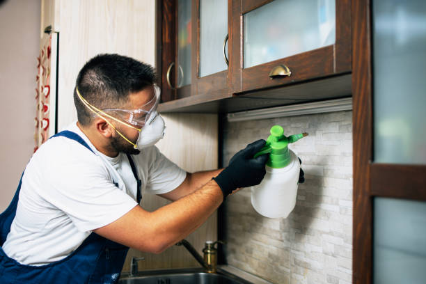  Sanborn, NY Pest Control Pros