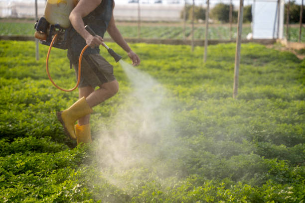 Best Best Pest Control Companies  in Sanborn, NY