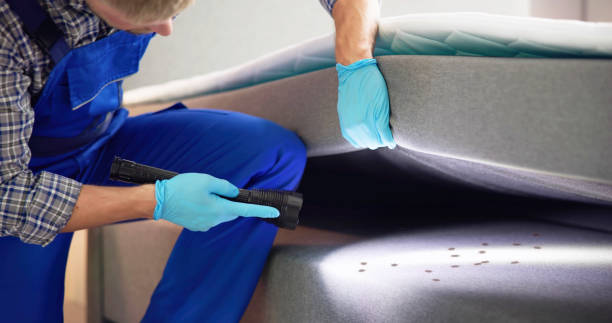 Best Pest Prevention Services  in Sanborn, NY