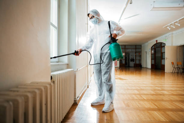Best Pest Control Near Me  in Sanborn, NY